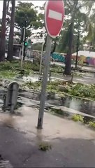 Cyclone Belal : le Boulevard Sud à Saint-Denis est encombré par des branches arrachées