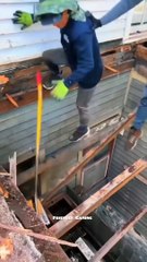 The End  #funny #viral #fails #shorts