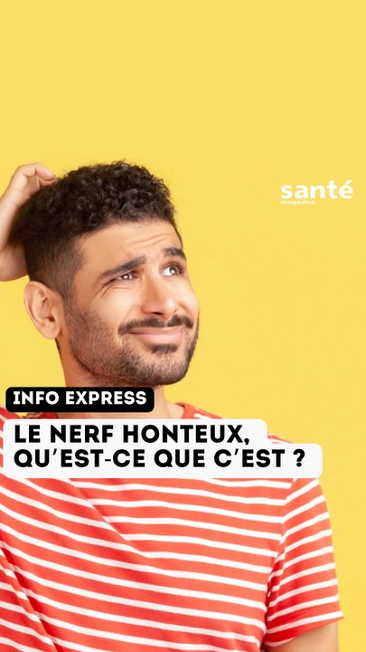 Le nerf honteux, qu'est-ce que c'est ?