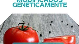 |HABIB ARIEL CORIAT HARRAR | EL ENIGMA DE LOS ALIMENTOS MODIFICADOS GENÉTICAMENTE (PARTE 2) (@HABIBARIELC)