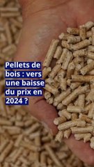 Pellets de bois : vers une baisse du prix en 2024 ?