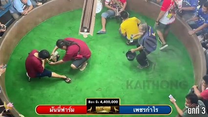 เทปไก่ชน เพชรกำไร vs มันนี่ฟาร์ม ชิง 4,400,000 บาท