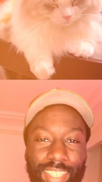 Abonne-toi pour suivre l’actualité positive chaque semaine ! @theimpactstory Source 1 : Les Echos I source 2 : Ouest France I source 3 : Capital I source 4 : Capital I source 5 : Le Monde