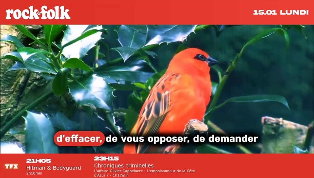 Tentez votre chance pour remporter votre exemplaire de "Led Zeppelin en bande dessinée" !