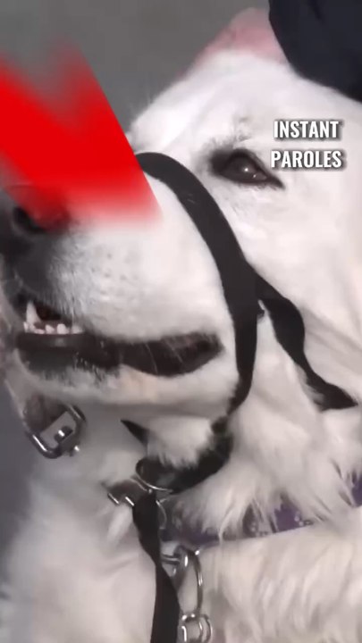 Une intervention qui fait toute la différence