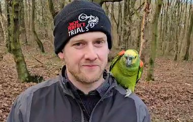 A golf game in Sheffield interrupted by a parrot