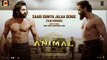 ANIMAL: Saari Duniya Jalaa Denge (Film Version) Ranbir K, Bobby D, Sandeep, B Praak,Jaani, Bhushan