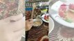 Kaşıkla yavru kuşa yemek yedirdi, o görüntüler sosyal medyada gündem oldu