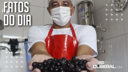Entressafra do açaí: escassez leva a reajuste de até 12,5% em Belém