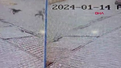 Köpeklerin saldırdığı çocuğu esnaf ve otomobil sürücüsü kurtardı