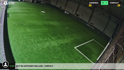 But de Anthony DELAGE - FORFAIT