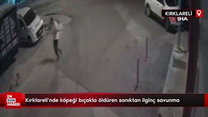 Kırklareli'nde köpeği bıçakla öldüren sanıktan ilginç savunma