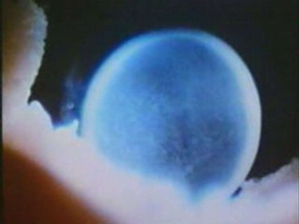 Les Miracles Du Coran 12 - Les 2 Mers Et Le Sexe De L'enfant