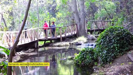 Viaje a la Hacienda de Chautla, Puebla | Conexión Milenio