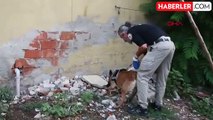 Tekirdağ Emniyet Müdürlüğü'nde görev yapan narkotik köpeği Larissa yaşamını yitirdi