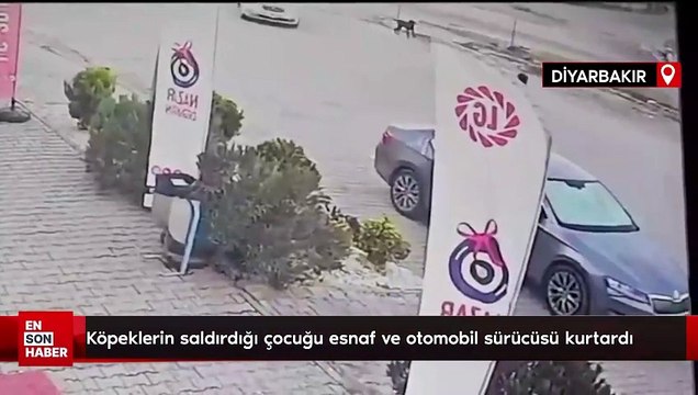 Diyarbakır'da köpeklerin saldırdığı çocuğu esnaf ve otomobil sürücüsü kurtardı