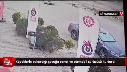 Diyarbakır'da köpeklerin saldırdığı çocuğu esnaf ve otomobil sürücüsü kurtardı