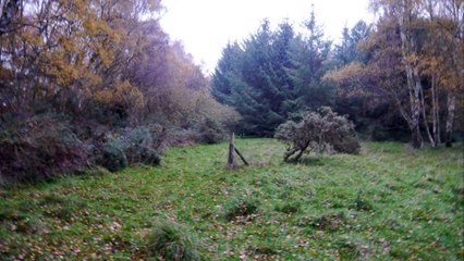 FOOTPATHS IN CRISIS Sandringham Part 1 Episode 3