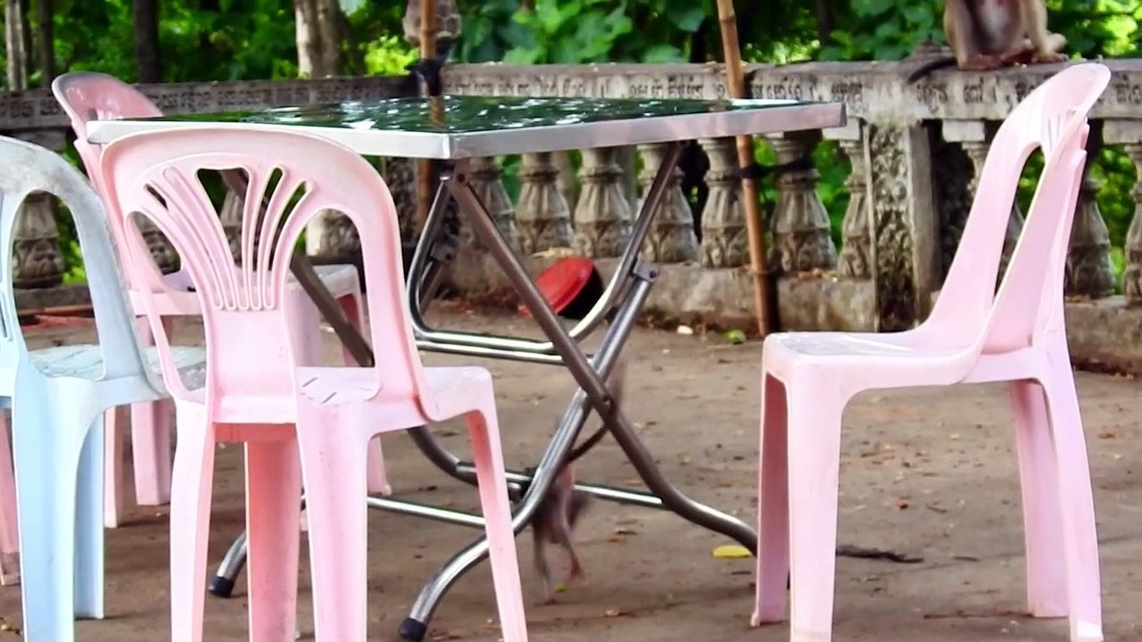 Pities Poor Baby Tessa Hungry Milk, But Eat Lotus Fruit Instead (720p_25fps_H264-192kbit_AAC)