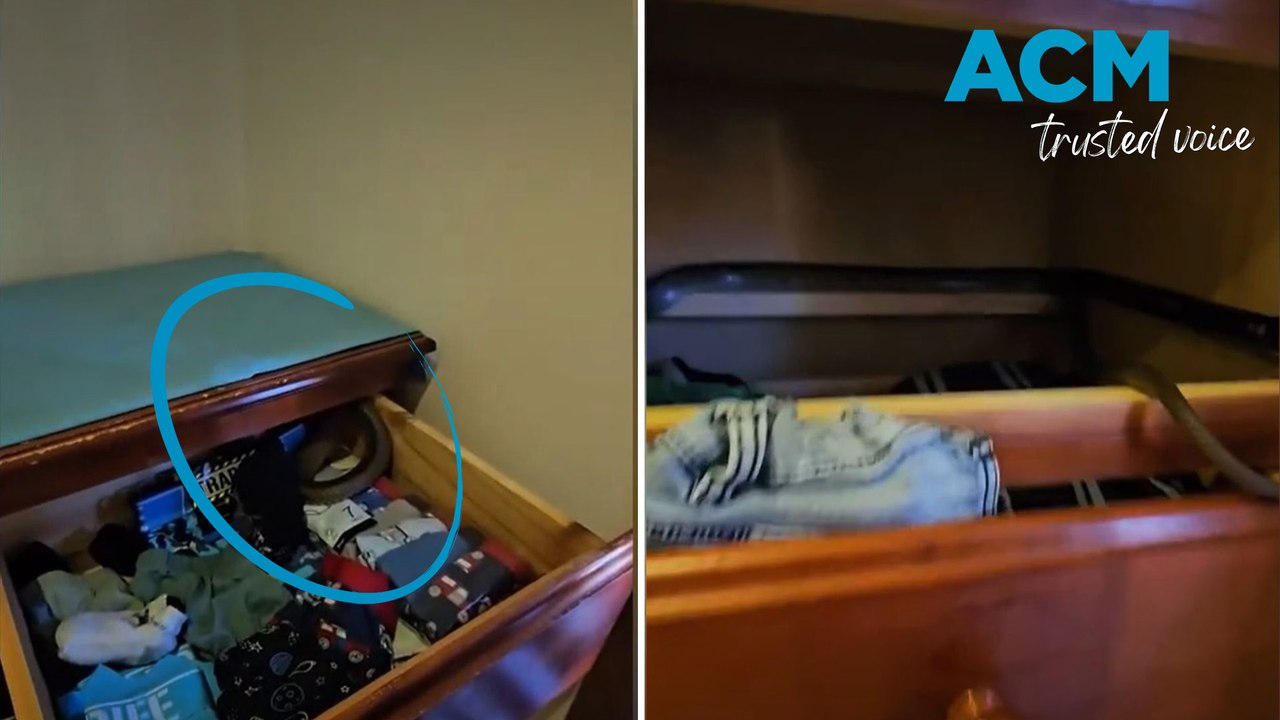 Brown snake in three-year-old’s underwear draw