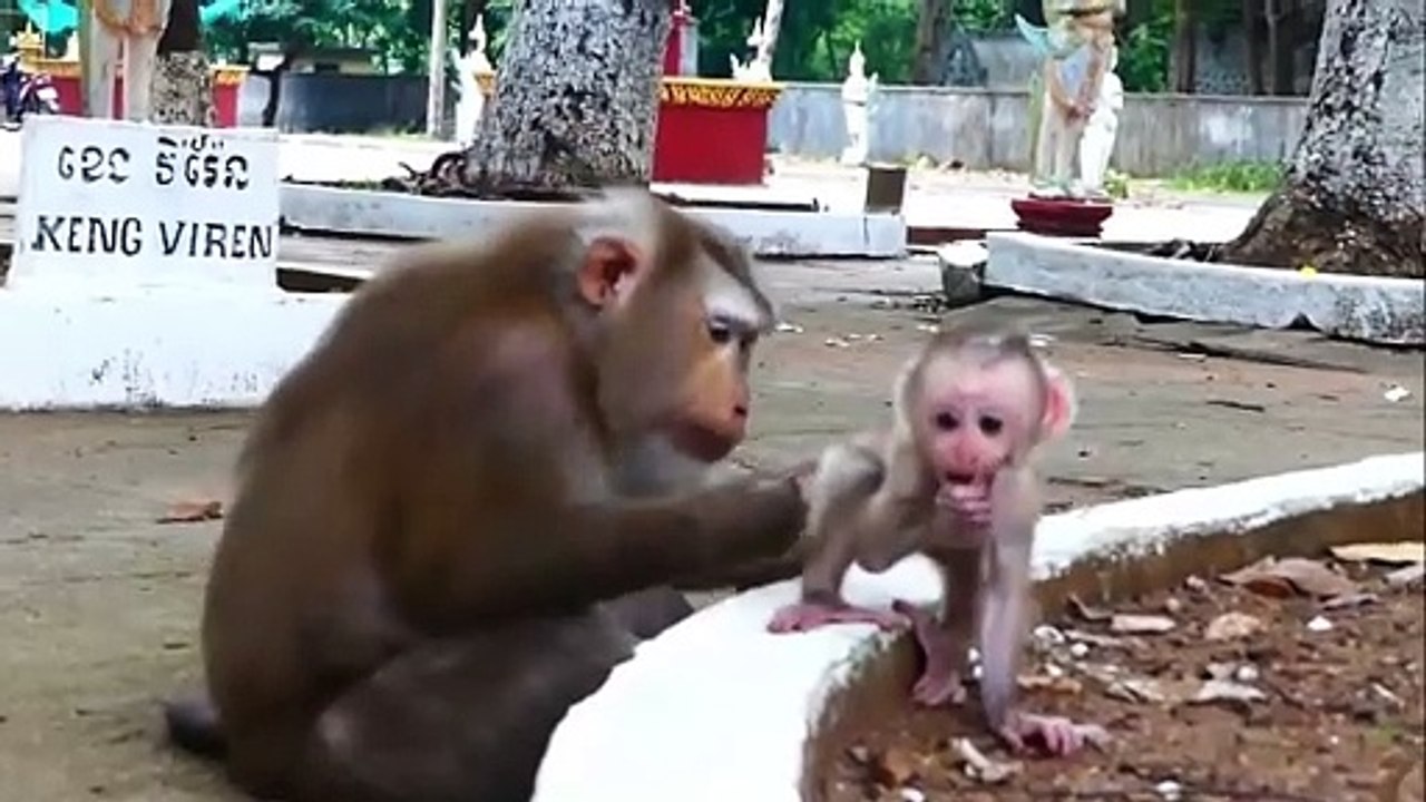 Poor Aly hugs baby Albert run escaping from Achoy, Achoy warn Aly from picking up foods (720p_25fps_H264-192kbit_AAC)