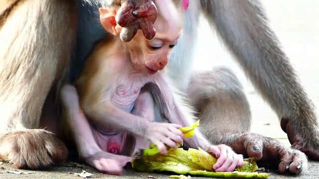 Poor And Lovely Baby Rockstar Performs Good Actions Around Mother Rozy (720p_25fps_H264-192kbit_AAC)