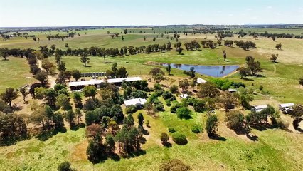 Rainbow, Pleasant Hills, NSW | January 16, 2024 | Farmonline