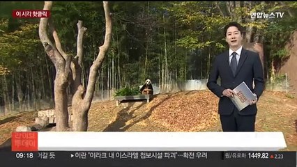 [핫클릭] '모나리자'를 집에서…루브르, 온라인 소통 확대 外