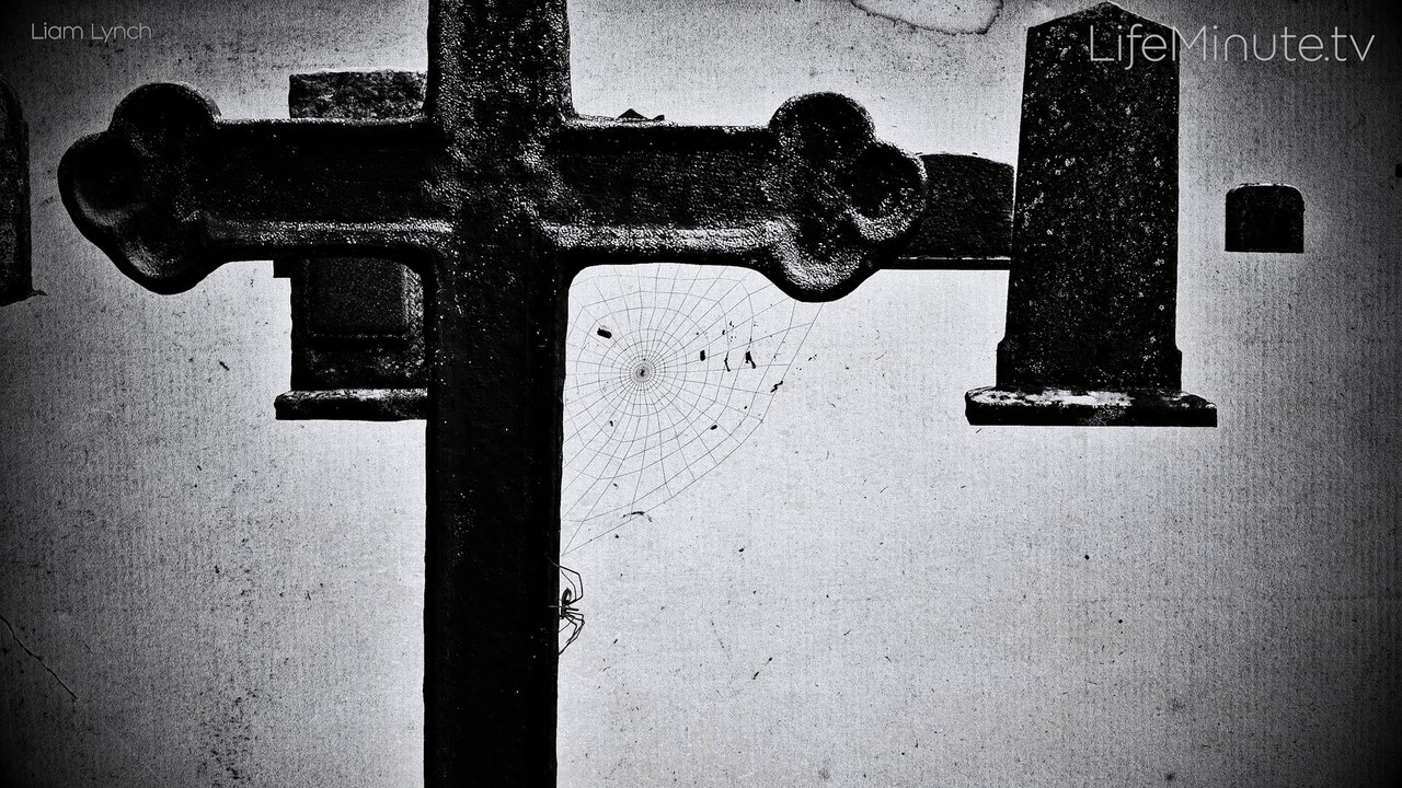 WORLD PREMIERE: Filmmaking Great Liam Lynch Creates Video for Legendary Los Angeles Band Eleven's 20th Anniversary Vinyl Release