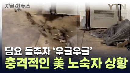 꿈틀거리는 담요 들췄더니 '악'...충격적인 뉴욕 노숙자 현황 [지금이뉴스] / YTN