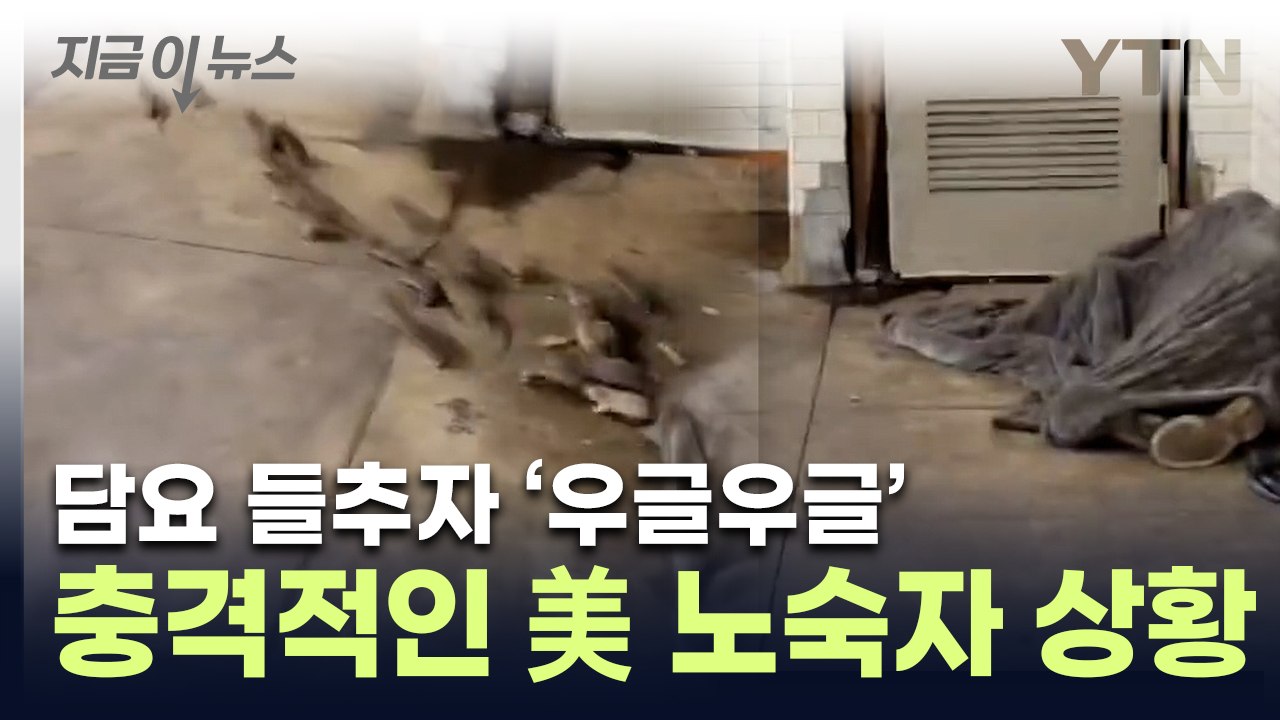 꿈틀거리는 담요 들췄더니 '악'...충격적인 뉴욕 노숙자 현황 [지금이뉴스] / YTN