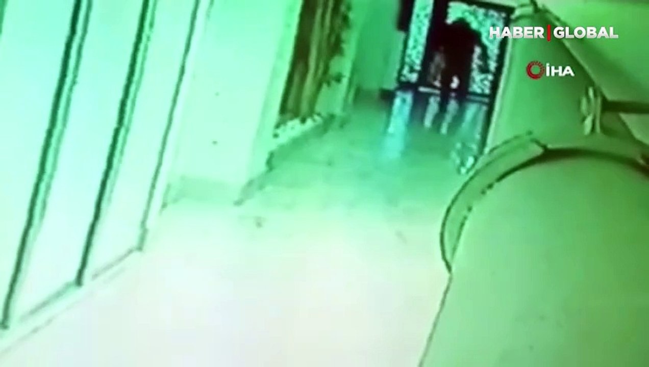 İzmir'de öldürdüğü kedileri bahçeye atarken görüntülenen cani gözaltına alındı