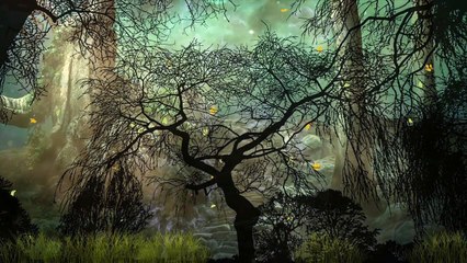 2024 1 Herbst und Winter