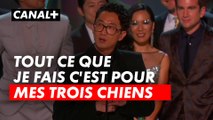 Acharnés, élue meilleure mini-série - Emmy Awards 2024 - CANAL+