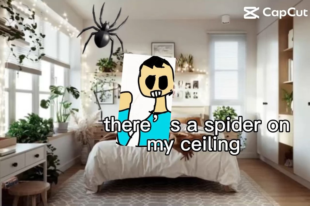 Spider dave
