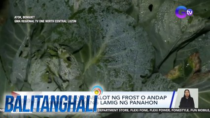 Ilang gulay, nabalot ng frost o andap dahil sa sobrang lamig ng panahon | BT