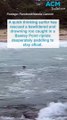 Quick thinking surfer rescues drowning kangaroo