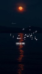 Dil Na todna  Tariq Jameel Bayan_ __ Islamic status __ #shorts .