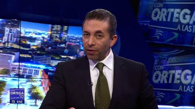 Los partidos políticos definieron procesos internos inéditos: Claudia Zavala