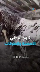 عاصفة ثلجية في امريكا