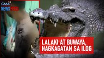 Lalaki at buwaya, nagkagatan sa ilog | GMA Integrated Newsfeed