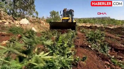 Diyarbakır'da 23 Ton Uyuşturucu Madde İmha Edildi