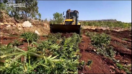 Diyarbakır'da ele geçirilen 23 ton uyuşturucu imha edildi