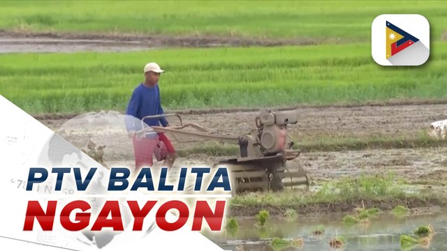 DA: Rice trade agreement ng Pilipinas at Vietnam, binubuo na