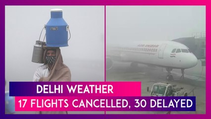 下载视频: Delhi Weather Dense Fog Covers National Capital; 17 Flights Cancelled, 30 Delayed & 30 Trains Cancel