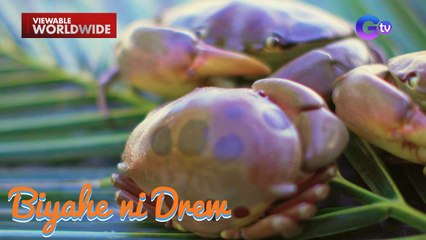 Kakaibang yamang-dagat sa Zambales, tikman! | Biyahe ni Drew