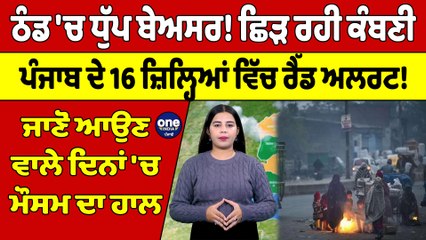 ਠੰਡ 'ਚ ਧੁੱਪ ਬੇਅਸਰ! ਛਿੜ ਰਹੀ ਕੰਬਣੀ, Punjab ਦੇ 16 ਜ਼ਿਲ੍ਹਿਆਂ ਵਿੱਚ ਰੈੱਡ ਅਲਰਟ! |OneIndia Punjabi