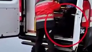 Un chien poursuit l'ambulance dans laquelle son maitre est emporté