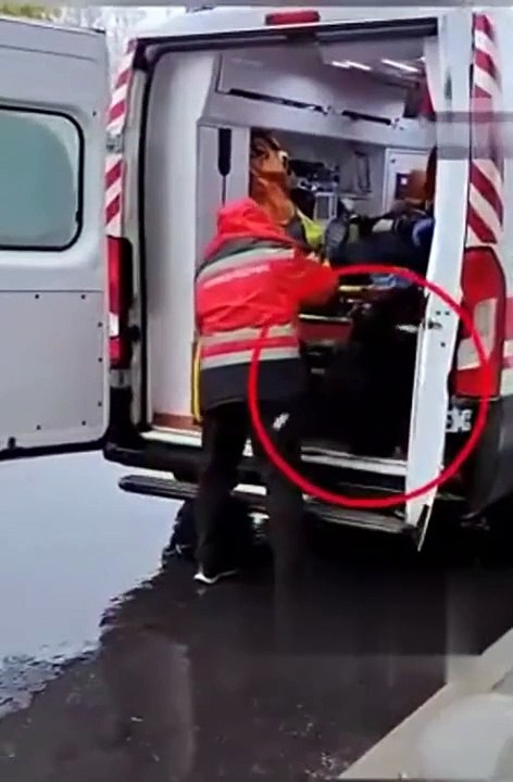 Un chien poursuit l'ambulance dans laquelle son maitre est emporté