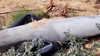 قوات الاحتلال الإسرائيلي تدمر منزلا في دير البلح وسط غزة